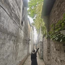 嘉兴旅游 缩略图 12