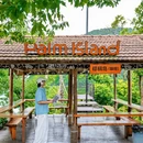 杭州旅游 缩略图 12