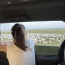 呼伦贝尔旅游 缩略图 8