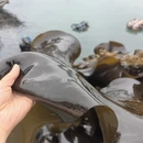 宁德旅游 缩略图 7