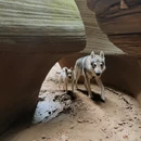 延安旅游 缩略图 13