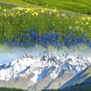 甘孜旅游 缩略图 3