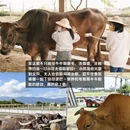 宜兰县旅游 缩略图 2