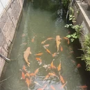 嘉兴旅游 缩略图 7