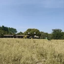 嘉兴旅游 缩略图 4