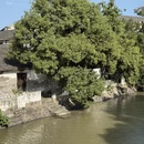嘉兴旅游 缩略图 7