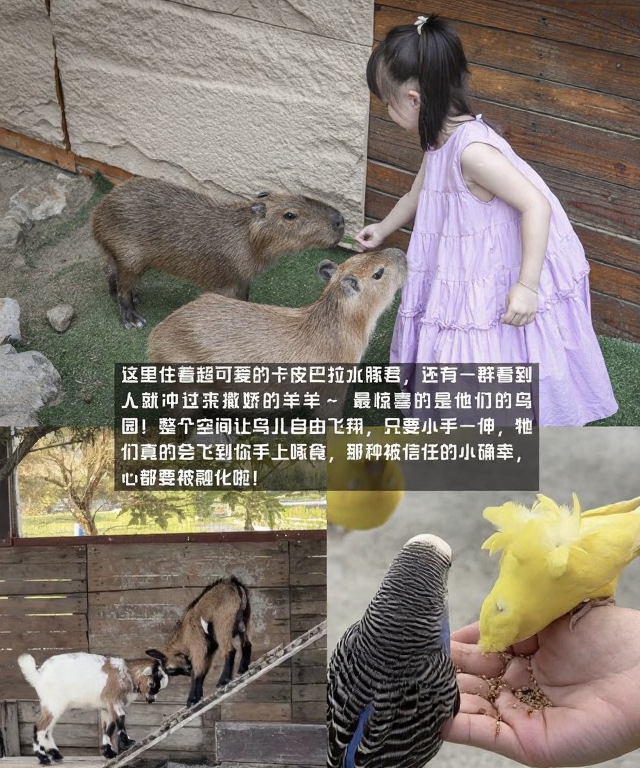 宜兰县旅游