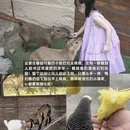 宜兰县旅游 缩略图 1