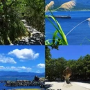 台北旅游 缩略图 2