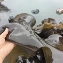 宁德旅游 缩略图 8