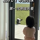 呼伦贝尔旅游 缩略图 1
