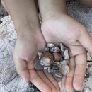 玉溪旅游 缩略图 11