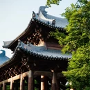 嘉兴旅游 缩略图 9