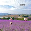 红河旅游 缩略图 2