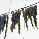 宁德旅游 缩略图 3