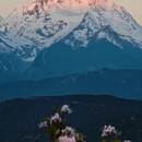 迪庆旅游 缩略图 3