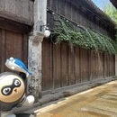 嘉兴旅游 缩略图 11