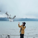 拉萨旅游 缩略图 2