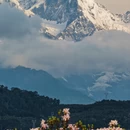 迪庆旅游 缩略图 8