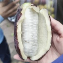 文山州旅游 缩略图 9