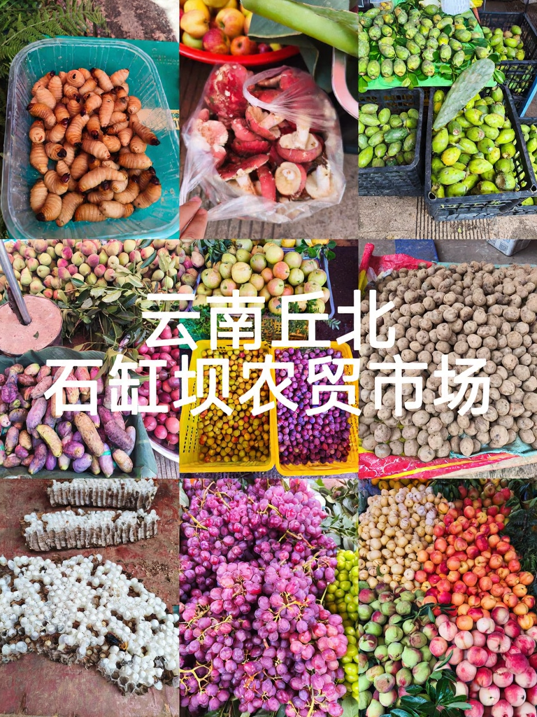 文山州旅游
