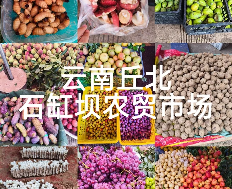文山州旅游 1