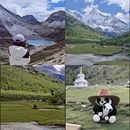 成都旅游 缩略图 3