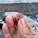 玉溪旅游 缩略图 4