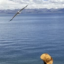 拉萨旅游 缩略图 12