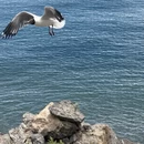拉萨旅游 缩略图 15