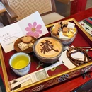 拉萨旅游 缩略图 6