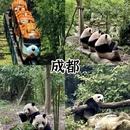 香港旅游 缩略图 4