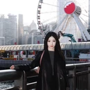 香港旅游 缩略图 5