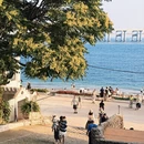 大连旅游 缩略图 3
