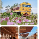 昆明旅游 缩略图 8
