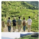 昆明旅游 缩略图 3