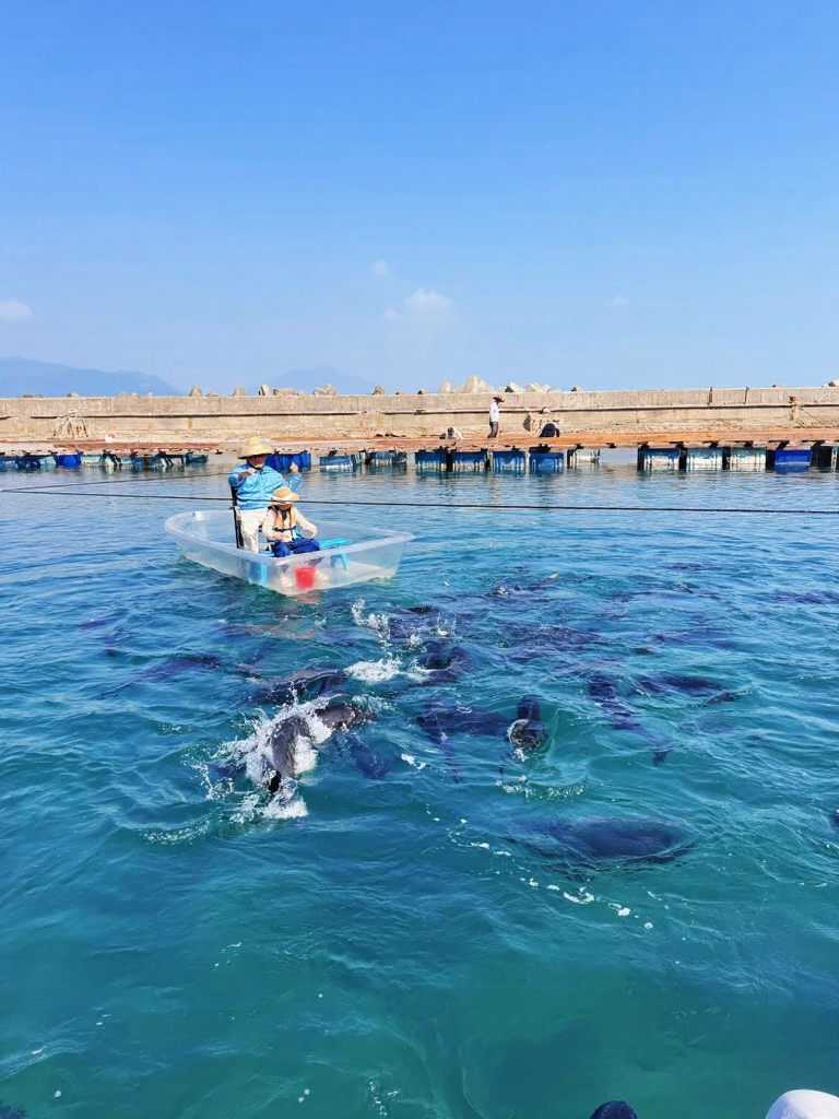 陵水黎族自治县旅游
