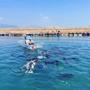 陵水黎族自治县旅游 缩略图 1
