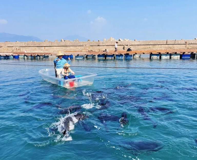 陵水黎族自治县旅游 1