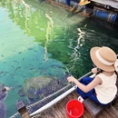 陵水黎族自治县旅游 缩略图 3