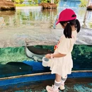 陵水黎族自治县旅游 缩略图 5