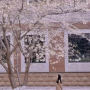 北京旅游 缩略图 8