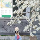 北京旅游 缩略图 11