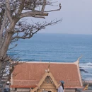 三亚旅游 缩略图 6
