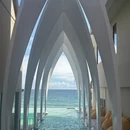 深圳旅游 缩略图 1