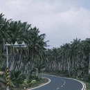 三亚旅游 缩略图 7