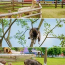 湖州旅游 缩略图 10