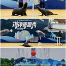 秦皇岛旅游 缩略图 15