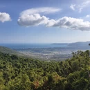 三亚旅游 缩略图 7