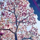 北京旅游 缩略图 2